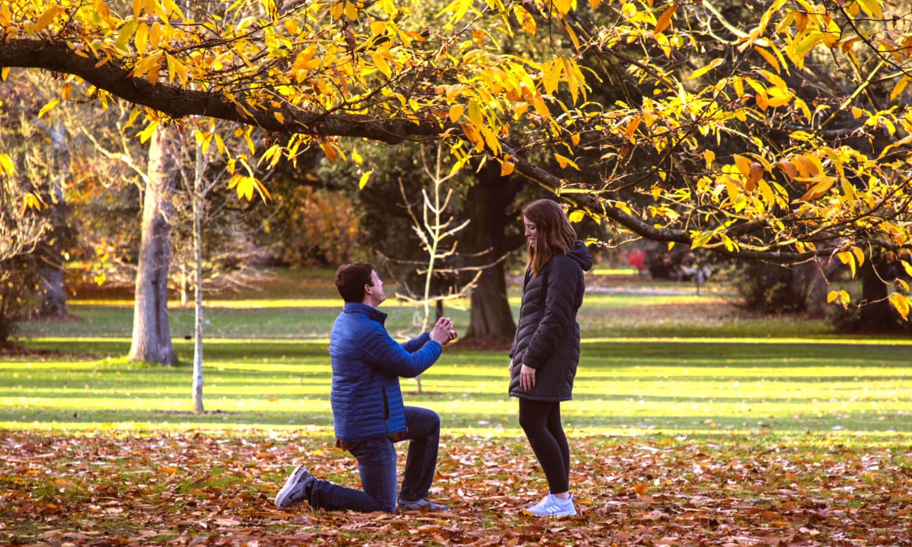 Tim on his knee proposing to McKenna in Kew Gardens under a tree with fall leaves.
